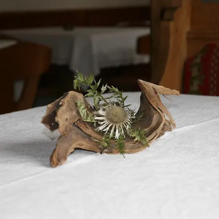 Konukevi Edelweiss