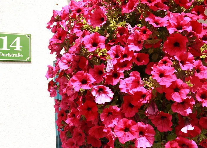 게스트하우스 Das Edelweiss 3*