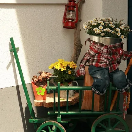بيت ضيافة Edelweiss